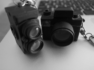 camera20121.jpg